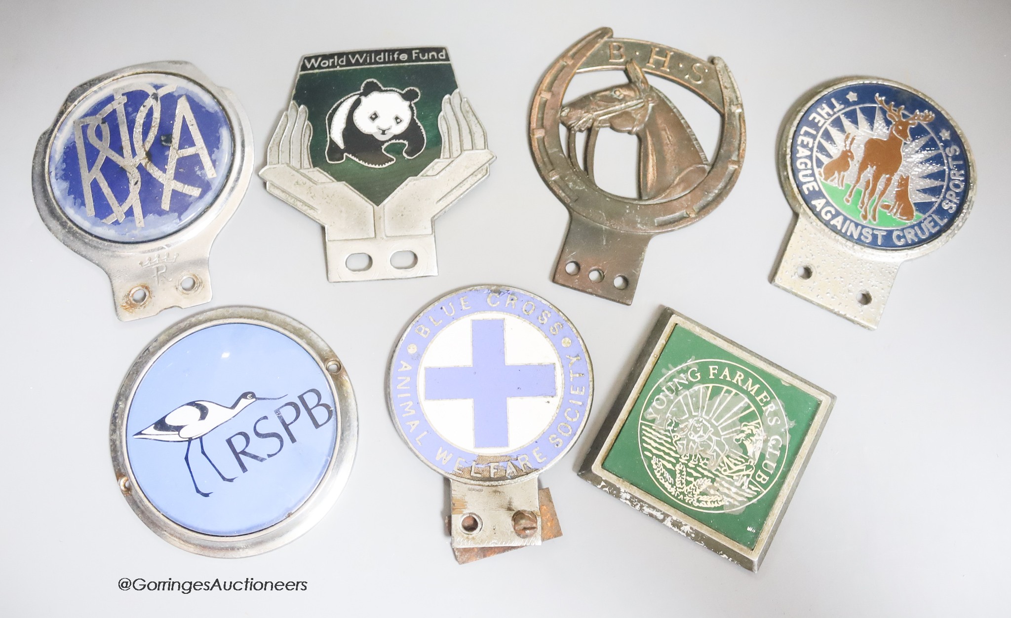 Seven various animal related car badges